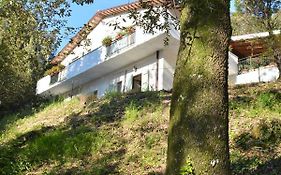 B&B IL Leccio NEL BOSCO